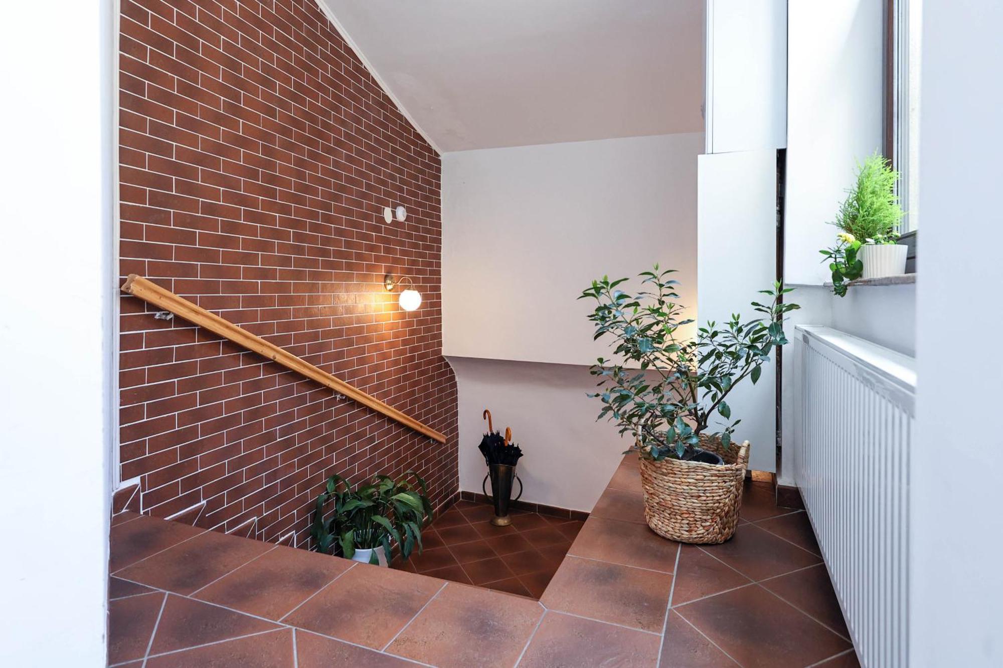 Hirscher Apartments 布拉索夫 外观 照片