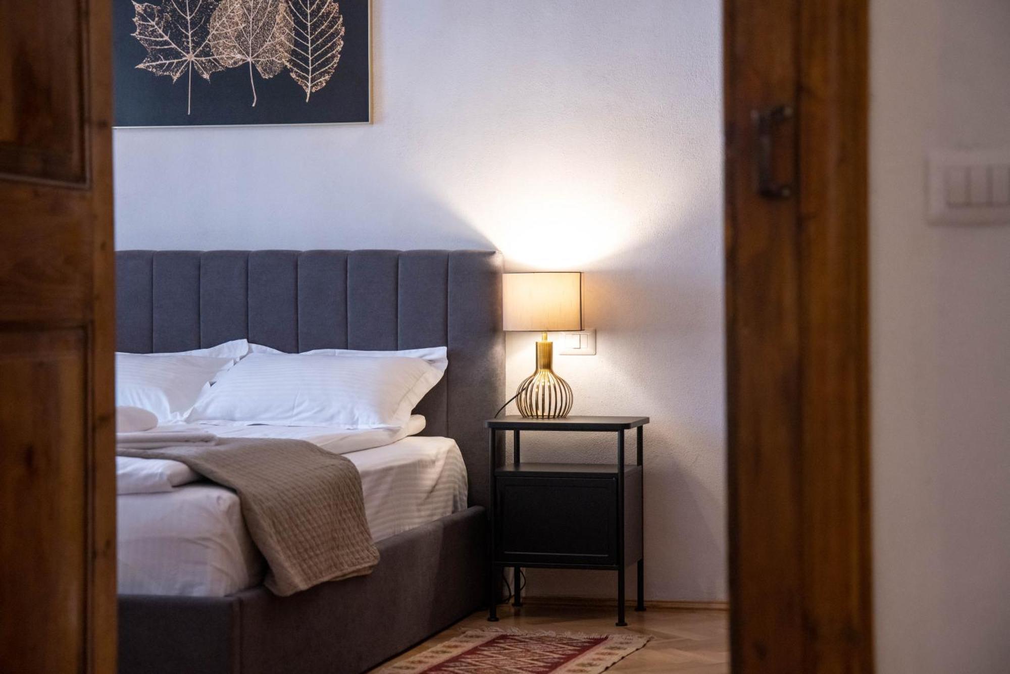 Hirscher Apartments 布拉索夫 外观 照片