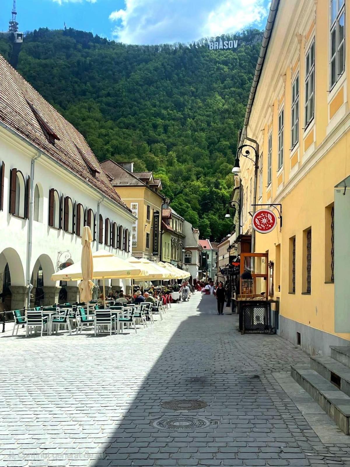 Hirscher Apartments 布拉索夫 外观 照片